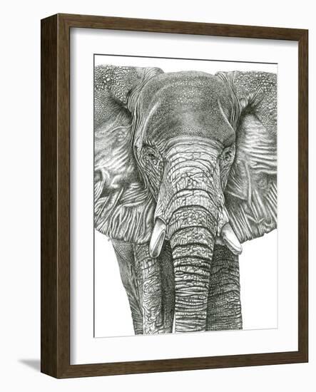 Elephant Portrait-Lucy Francis-Framed Giclee Print