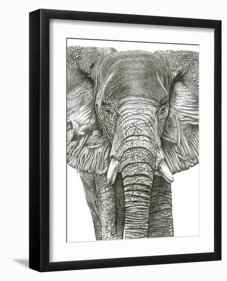 Elephant Portrait-Lucy Francis-Framed Giclee Print