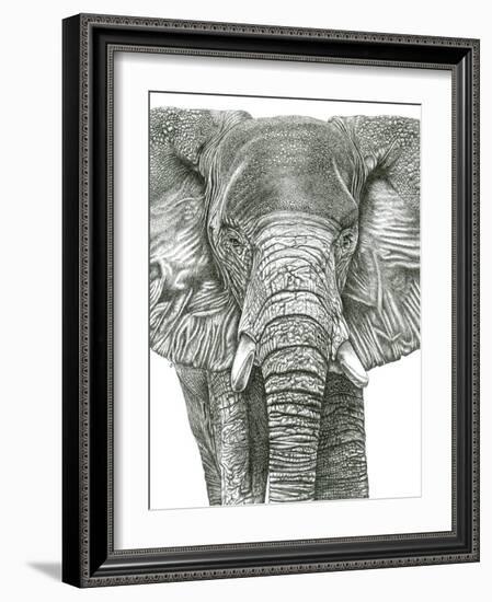 Elephant Portrait-Lucy Francis-Framed Giclee Print