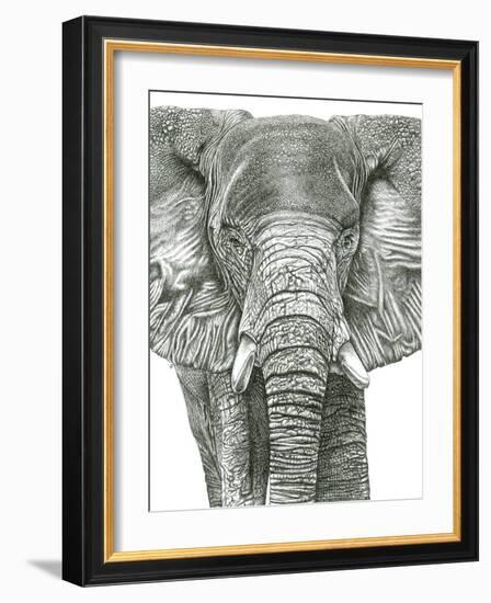 Elephant Portrait-Lucy Francis-Framed Giclee Print