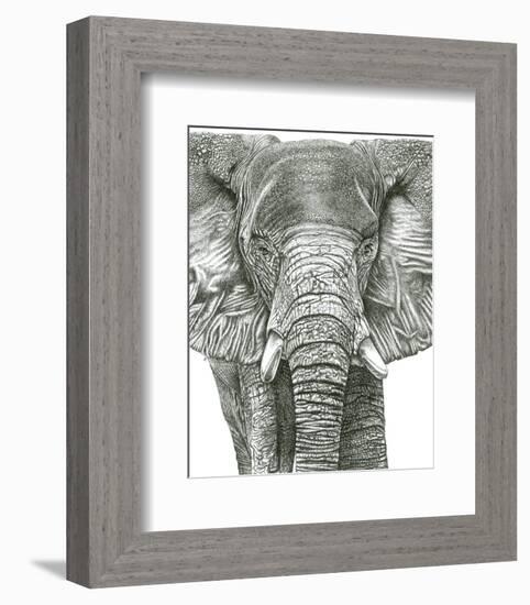 Elephant Portrait-Lucy Francis-Framed Art Print