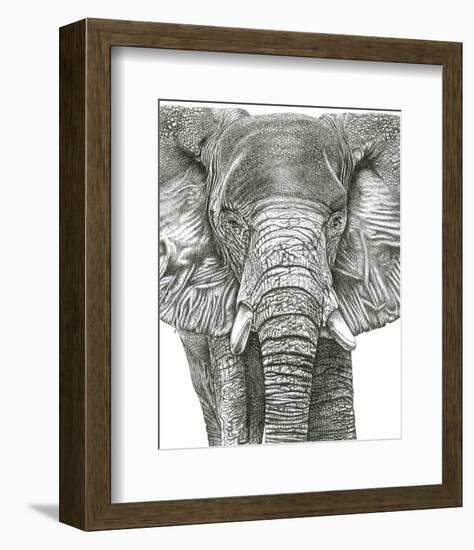 Elephant Portrait-Lucy Francis-Framed Art Print