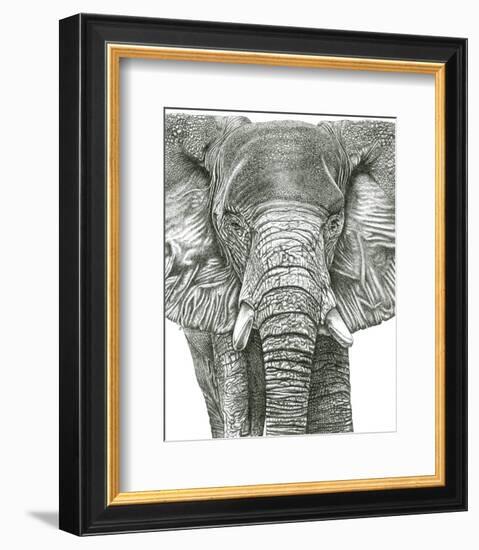 Elephant Portrait-Lucy Francis-Framed Art Print