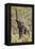 Elephant Reach-Howard Ruby-Framed Premier Image Canvas