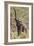 Elephant Reach-Howard Ruby-Framed Photographic Print