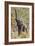 Elephant Reach-Howard Ruby-Framed Photographic Print