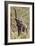 Elephant Reach-Howard Ruby-Framed Photographic Print