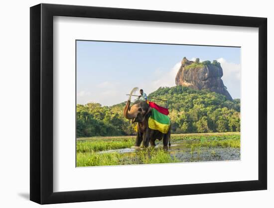 Elephant ride with Lion Rock, Ancient Rock Fortress behind, Sigiriya, Sri Lanka-Peter Adams-Framed Photographic Print