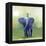 Elephant Ride-Nancy Tillman-Framed Stretched Canvas