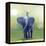 Elephant Ride-Nancy Tillman-Framed Stretched Canvas
