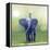 Elephant Ride-Nancy Tillman-Framed Stretched Canvas