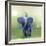 Elephant Ride-Nancy Tillman-Framed Giclee Print