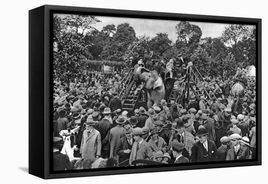 Elephant Rides at London Zoo, 1926-1927-McLeish-Framed Premier Image Canvas