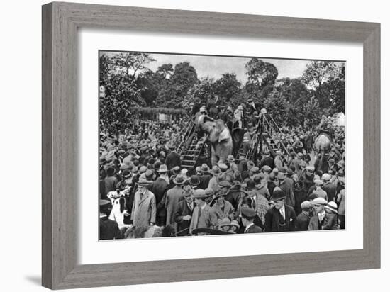 Elephant Rides at London Zoo, 1926-1927-McLeish-Framed Giclee Print