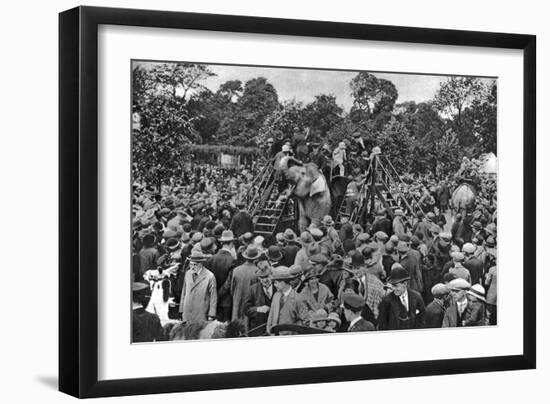 Elephant Rides at London Zoo, 1926-1927-McLeish-Framed Giclee Print