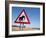 Elephant Road Sign, Damaraland, Kunene Region, Namibia, Africa-Ann & Steve Toon-Framed Photographic Print