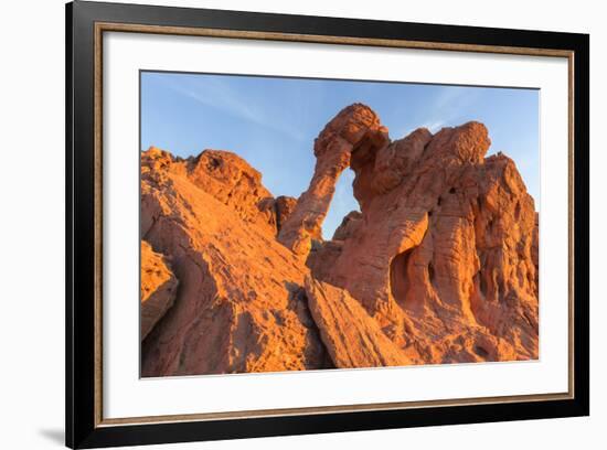 Elephant Rock at Valley of the Fire State Park, Nevada, USA-Chuck Haney-Framed Photographic Print