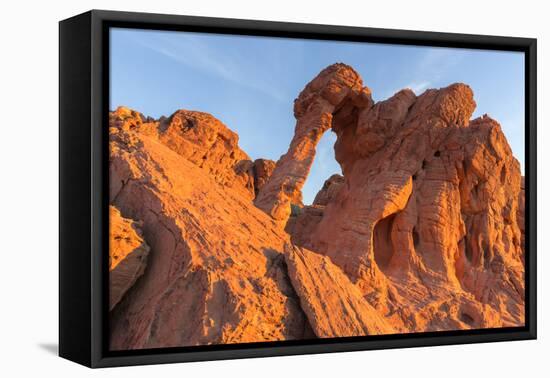 Elephant Rock at Valley of the Fire State Park, Nevada, USA-Chuck Haney-Framed Premier Image Canvas
