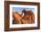 Elephant Rock at Valley of the Fire State Park, Nevada, USA-Chuck Haney-Framed Photographic Print