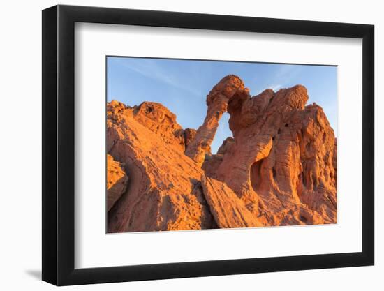 Elephant Rock at Valley of the Fire State Park, Nevada, USA-Chuck Haney-Framed Photographic Print