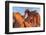 Elephant Rock at Valley of the Fire State Park, Nevada, USA-Chuck Haney-Framed Photographic Print