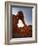 Elephant Rock, Valley of Fire State Park, Nevada, USA-Don Grall-Framed Photographic Print