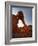 Elephant Rock, Valley of Fire State Park, Nevada, USA-Don Grall-Framed Photographic Print