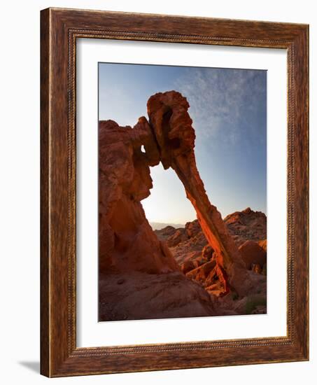 Elephant Rock, Valley of Fire State Park, Nevada, USA-Don Grall-Framed Photographic Print