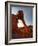 Elephant Rock, Valley of Fire State Park, Nevada, USA-Don Grall-Framed Photographic Print