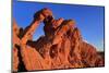Elephant Rock, Valley of Fire State Park, Overton, Nevada, United States of America, North America-Richard Cummins-Mounted Photographic Print