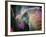 Elephant's Eye. Sonepur Mela, India-Mauricio Abreu-Framed Photographic Print