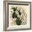 Elephant's Foot, Dioscorea Elephantipes (Female Cape Bryony, Tamus Elephantipes Faemina)-Sydenham Teast Edwards-Framed Giclee Print