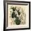 Elephant's Foot, Dioscorea Elephantipes (Female Cape Bryony, Tamus Elephantipes Faemina)-Sydenham Teast Edwards-Framed Giclee Print