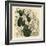 Elephant's Foot, Dioscorea Elephantipes (Female Cape Bryony, Tamus Elephantipes Faemina)-Sydenham Teast Edwards-Framed Giclee Print