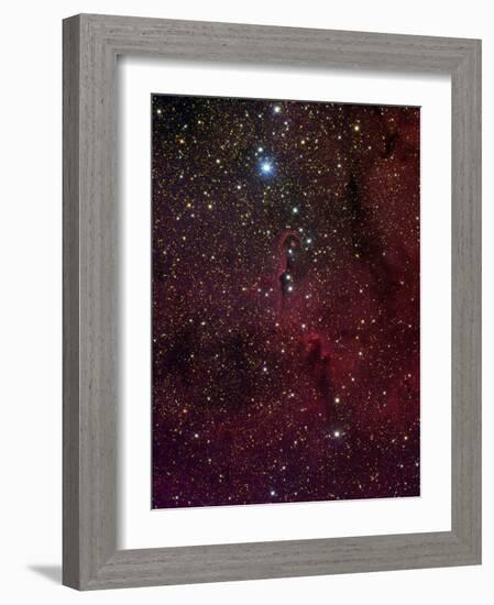 Elephant's Trunk Nebula Inside IC 1396-Stocktrek Images-Framed Photographic Print