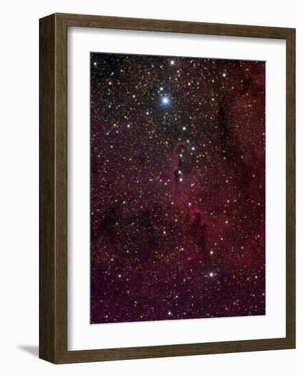 Elephant's Trunk Nebula Inside IC 1396-Stocktrek Images-Framed Photographic Print