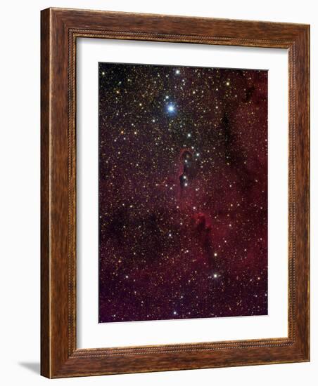 Elephant's Trunk Nebula Inside IC 1396-Stocktrek Images-Framed Photographic Print