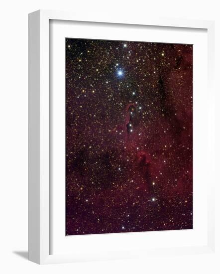 Elephant's Trunk Nebula Inside IC 1396-Stocktrek Images-Framed Photographic Print