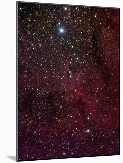 Elephant's Trunk Nebula Inside IC 1396-Stocktrek Images-Mounted Photographic Print