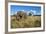 Elephant, Sabi Sabi Reserve, South Africa-Paul Souders-Framed Photographic Print