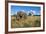 Elephant, Sabi Sabi Reserve, South Africa-Paul Souders-Framed Photographic Print