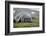 Elephant seal. Fortuna Bay, South Georgia Islands.-Tom Norring-Framed Photographic Print