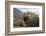 Elephant Seal on South Georgia Island-null-Framed Photographic Print