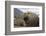 Elephant Seal on South Georgia Island-null-Framed Photographic Print