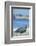 Elephant Seal-DLILLC-Framed Photographic Print