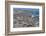 Elephant Seals on Beach, San Simeon, California-Zandria Muench Beraldo-Framed Photographic Print