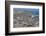 Elephant Seals on Beach, San Simeon, California-Zandria Muench Beraldo-Framed Photographic Print