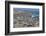 Elephant Seals on Beach, San Simeon, California-Zandria Muench Beraldo-Framed Photographic Print