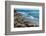 Elephant Seals on the beach, Piedras Blancas, San Simeon, California, USA-null-Framed Photographic Print