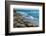 Elephant Seals on the beach, Piedras Blancas, San Simeon, California, USA-null-Framed Photographic Print